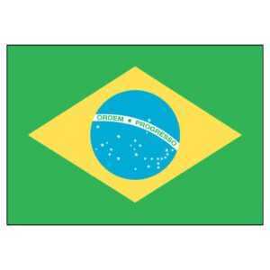 Brazil National Flag - Nylon 3X5'