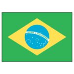 Brazil National Flag - Nylon 5X8'
