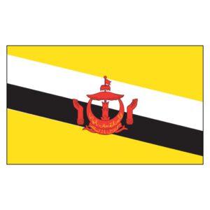 Brunei Darussalam National Flag - Nylon 3X5'