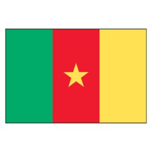 Cameroon National Flag - Nylon 3X5'