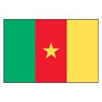 Cameroon National Flag - Nylon 5X8'