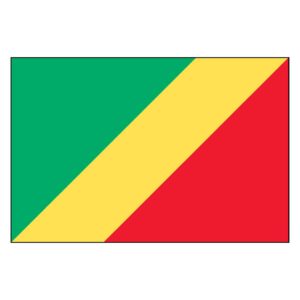 Congo National Flag - Nylon 4X6'