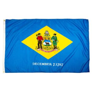 Delaware State Flag - Nylon 8x12'