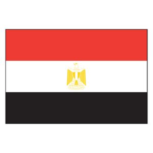 Egypt National Flag - Nylon 4X6'