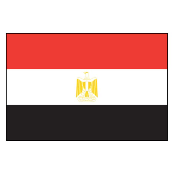 Egypt National Flag - Nylon 5X8'