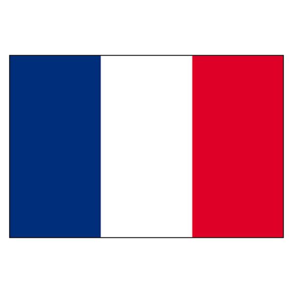 France National Flag - Nylon 3X5'