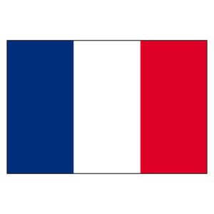 France National Flag - Nylon 4X6'