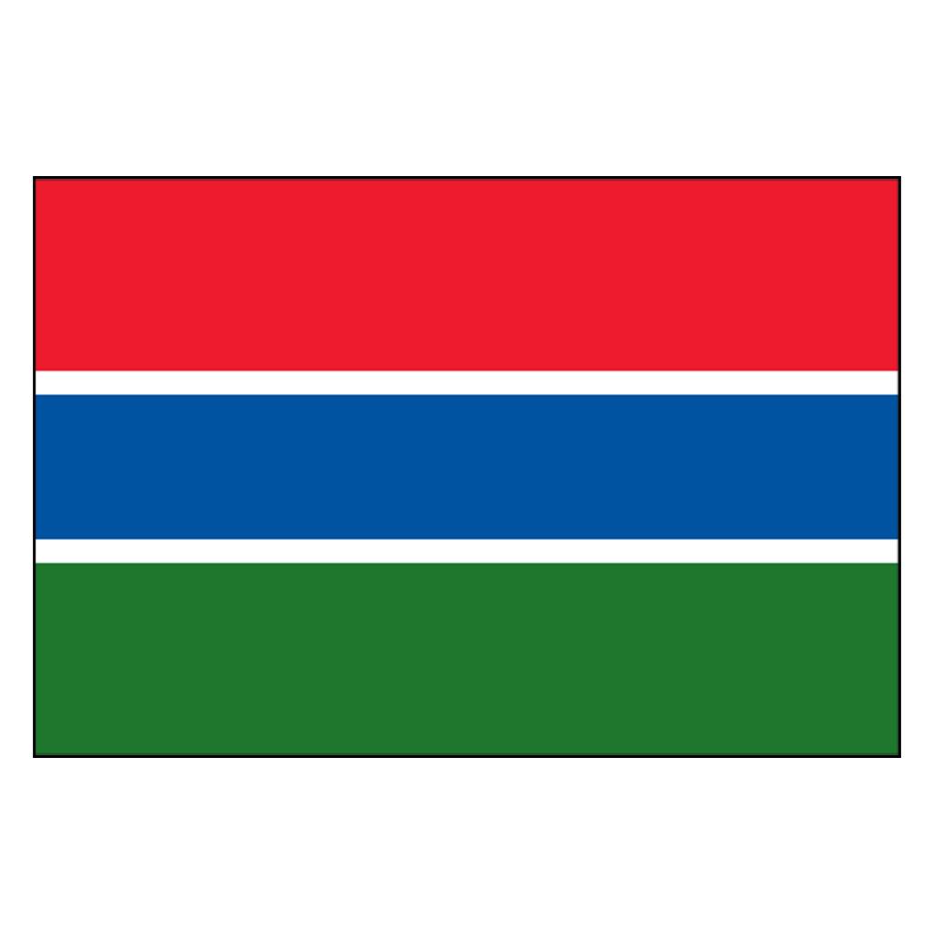Gambia National Flag Nylon 3X5' Fly American Flags