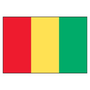 Guinea National Flag - Nylon 5X8'