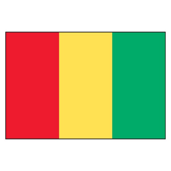 Guinea National Flag - Nylon 5X8'