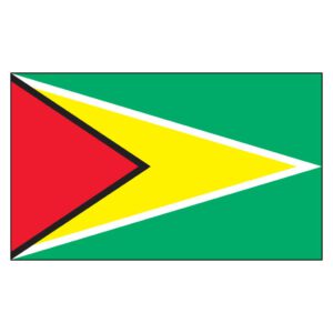 Guyana National Flag - Nylon 3X5'