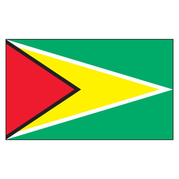 Guyana National Flag - Nylon 4X6'