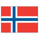 Norway National Flag - Nylon 5X8'