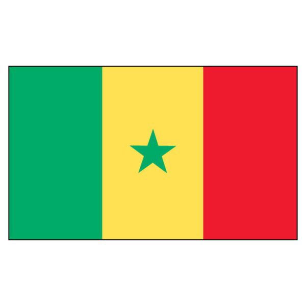 Senegal National Flag - Nylon 3X5'