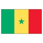 Senegal National Flag - Nylon 4X6'