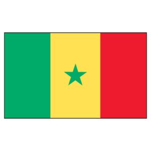 Senegal National Flag - Nylon 4X6'