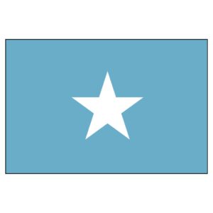 Somalia National Flag - Nylon 4X6'