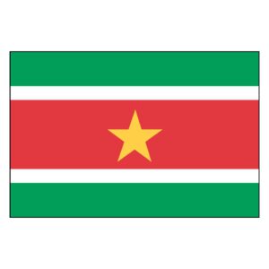 Suriname National Flag - Nylon 4X6'