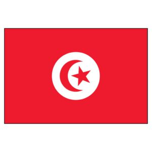 Tunisia National Flag - Nylon 4X6'