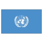 United Nations Flag - Nylon 3X5'