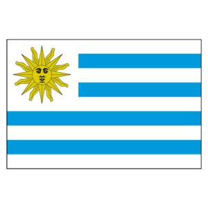 Uruguay National Flag - Nylon 3X5'