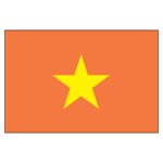 Vietnam National Flag - Nylon 3X5'