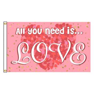 All You Need Is Love 3x5'