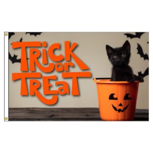 Black Cat Trick or Treat 2x3’