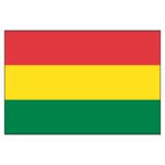 Bolivia National Flag - Nylon 5X8'