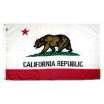 California State Flag - Nylon 8x12'