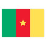 Cameroon National Flag - Nylon 4X6'