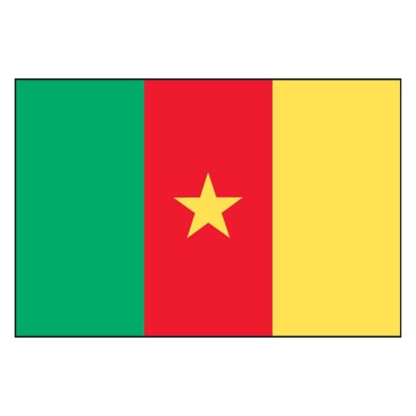 Cameroon National Flag - Nylon 4X6'