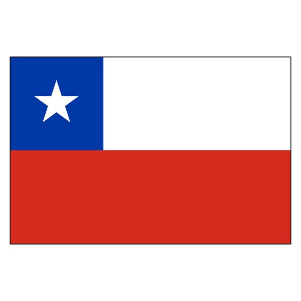 Chile National Flag - Nylon 5X8'