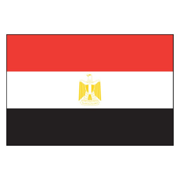 Egypt National Flag - Nylon 4X6'