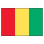 Guinea National Flag - Nylon 3X5'
