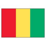 Guinea National Flag - Nylon 5X8'