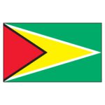 Guyana National Flag - Nylon 4X6'