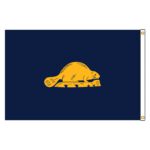 Oregon State Flag - Nylon 3x5’ 1024-OregonBack.jpg