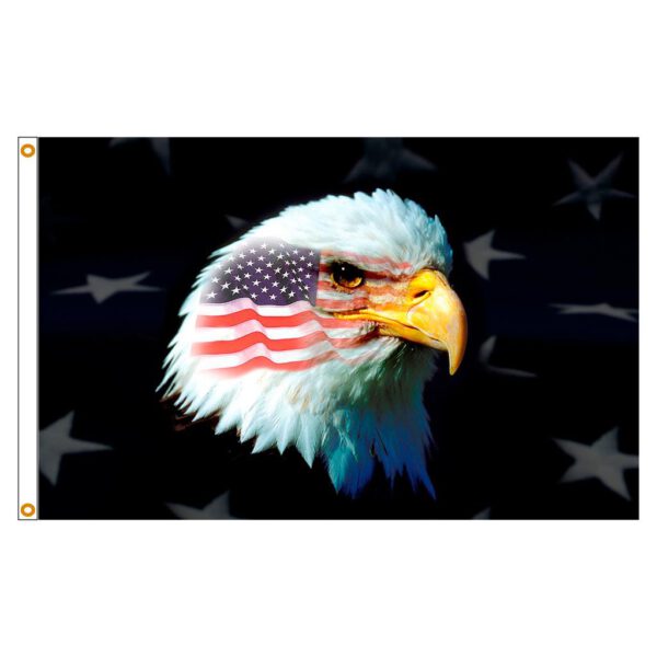 Patriotic Eagle 2X3'