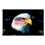 Patriotic Eagle 3X5'