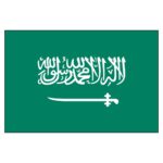 Saudi Arabia National Flag - Nylon 5X8'