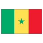 Senegal National Flag - Nylon 3X5'