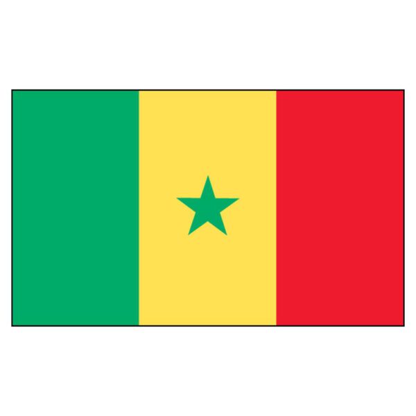 Senegal National Flag - Nylon 4X6'