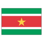 Suriname National Flag - Nylon 4X6'