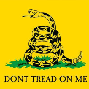 Gadsden Historical Flag - 5' x 8' - Nylon