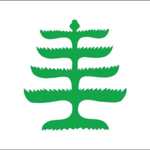 Pine Tree Flag - 3' x 5' - Nylon