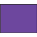 Purple Flag - 4' x 6' - Nylon