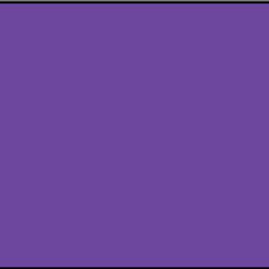 Purple Flag - 4' x 6' - Nylon