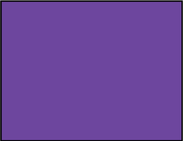 Purple Flag - 4' x 6' - Nylon