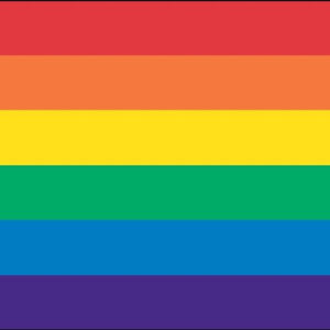 Rainbow Flag - 16" x 24" - Nylon